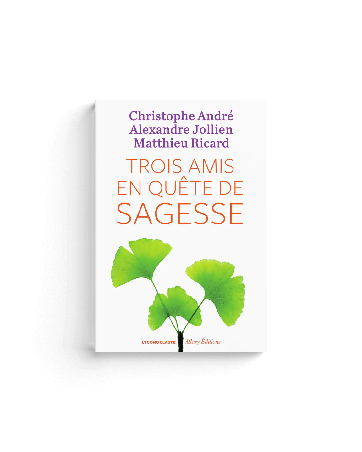 Trois amis en quête de sagesse