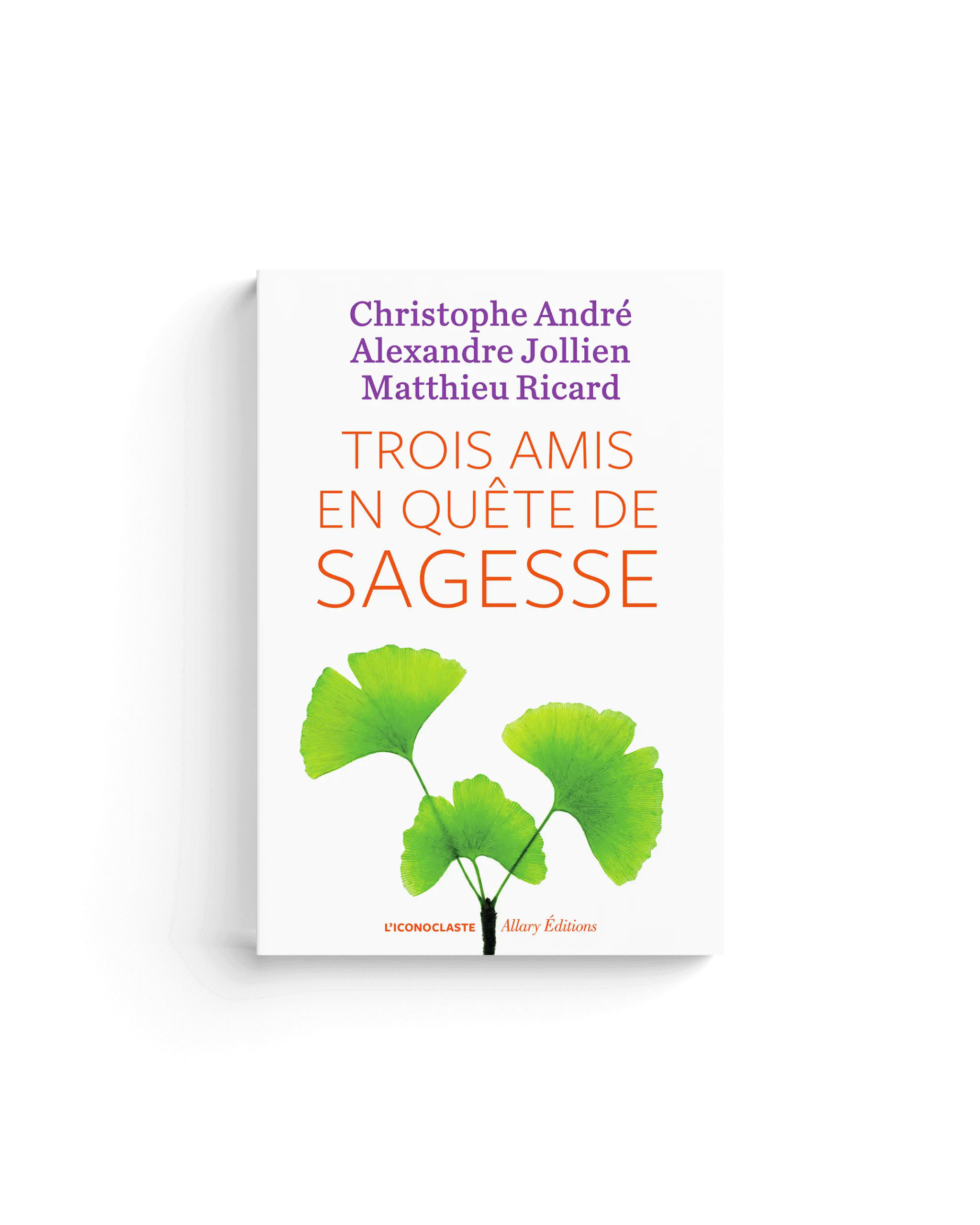 Trois amis en quête de sagesse – Matthieu Ricard, Christophe André ...