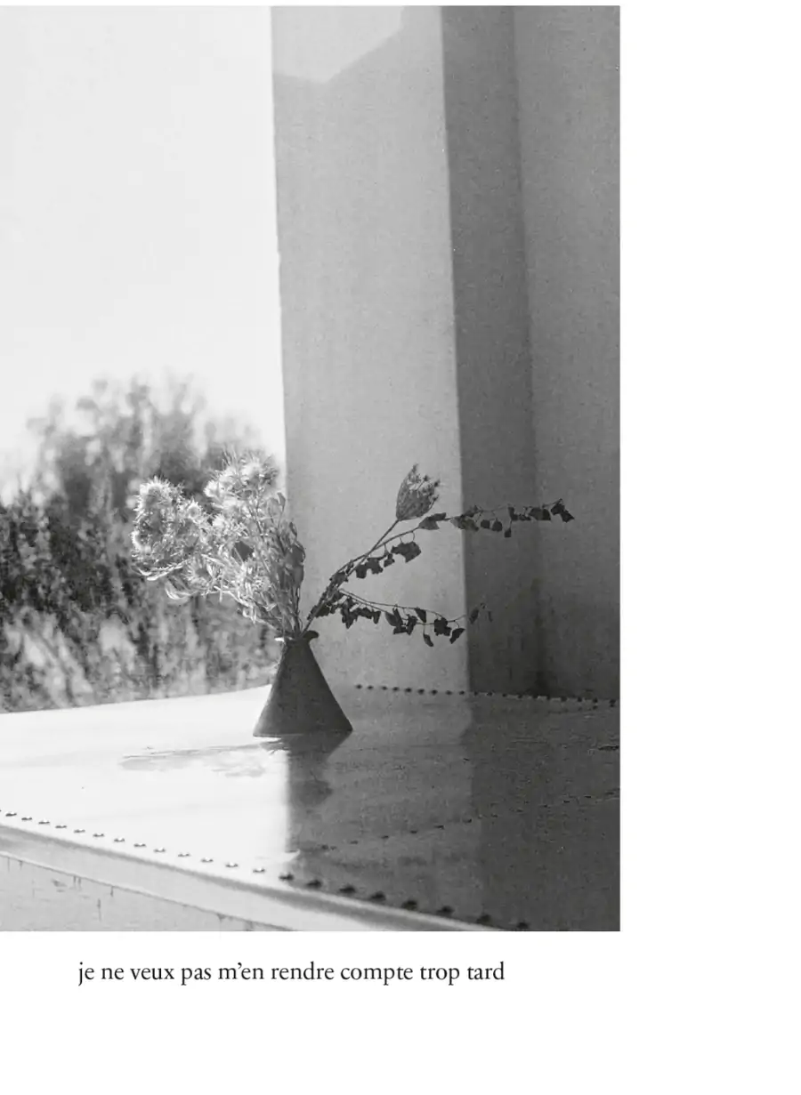 Des frelons dans le coeur