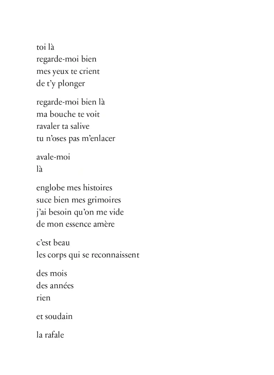 Des frelons dans le coeur