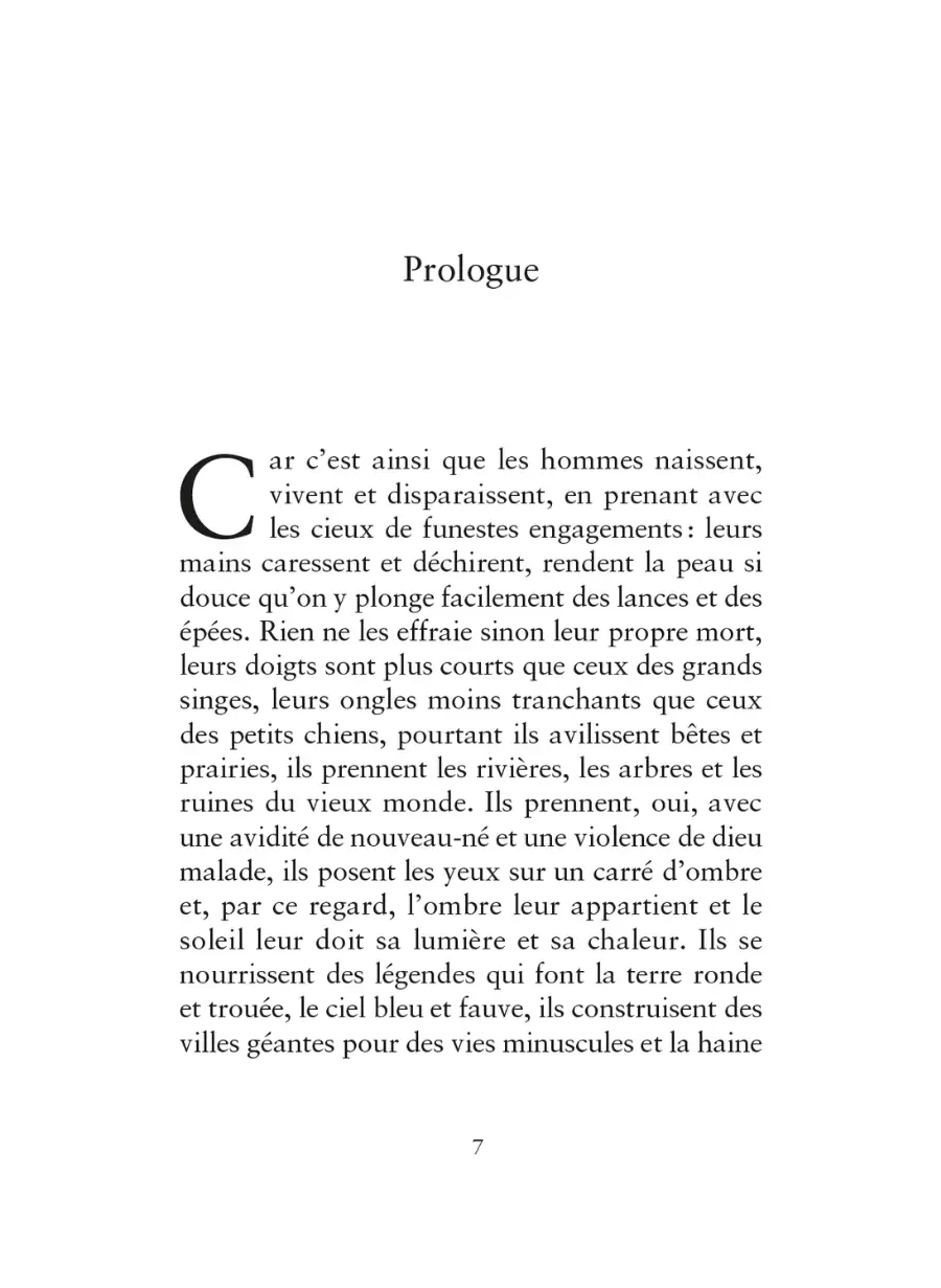 La langue des choses cachées Cécile Coulon